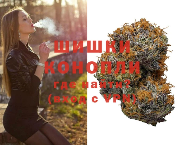 мдпв Михайлов