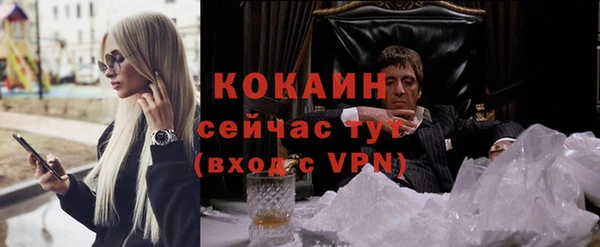 мдпв Михайлов