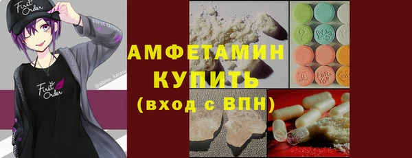 мдпв Михайлов