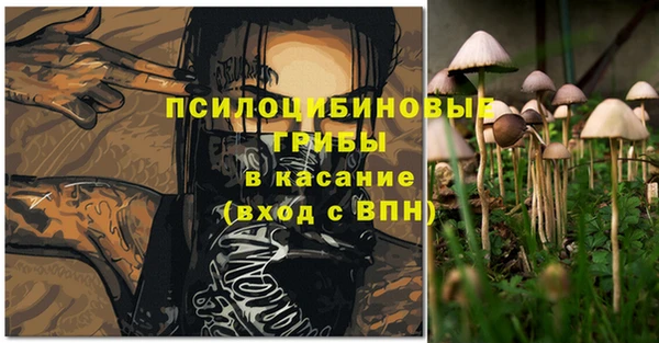 мяу мяу мука Горняк
