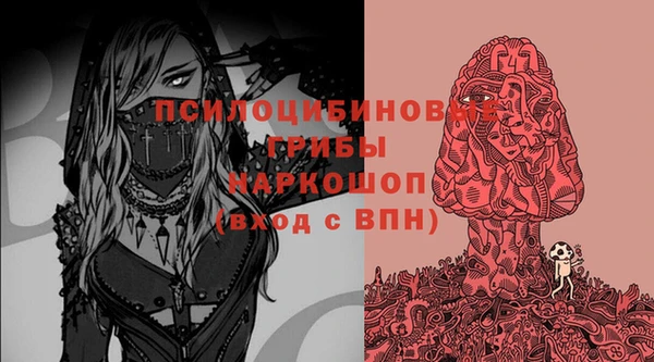 мяу мяу мука Горняк