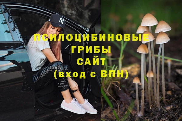бошки Михайловск