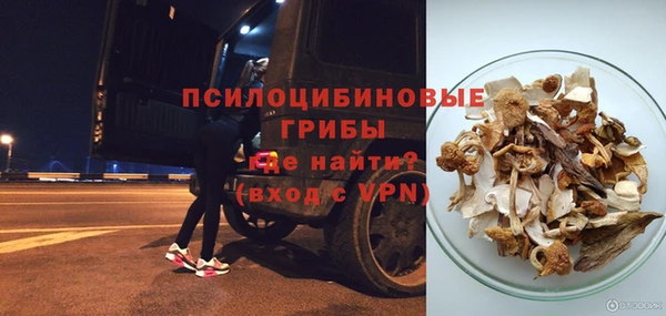 мяу мяу мука Горняк