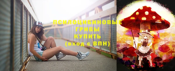 бошки Михайловск