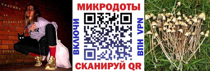 продажа наркотиков  Горбатов  Галлюциногенные грибы MAGIC MUSHROOMS 